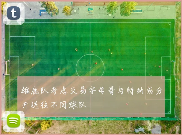 雄鹿队考虑交易字母哥与特纳或分开送往不同球队